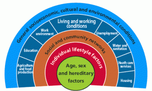 holistic model of health