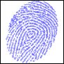 identity_trail.jpg