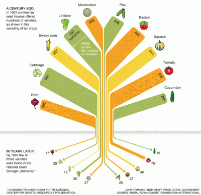 food-variety-tree-754