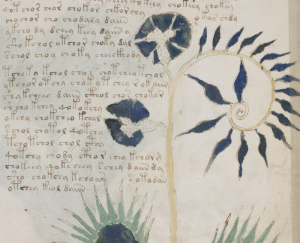 voynich_02